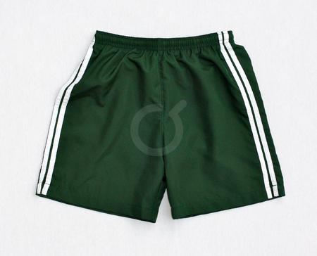 <p>Short. Verde. Vivos blancos. Poliéster.</p>
