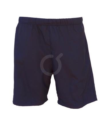 <p>Pantalon corto de tela deportiva. Forro de malla. Azul.</p>

<p>Pocas unidades.&nbsp; Hasta agotar stock.</p>

<p>Liceo Internacional:&nbsp; prenda opcional.</p>
